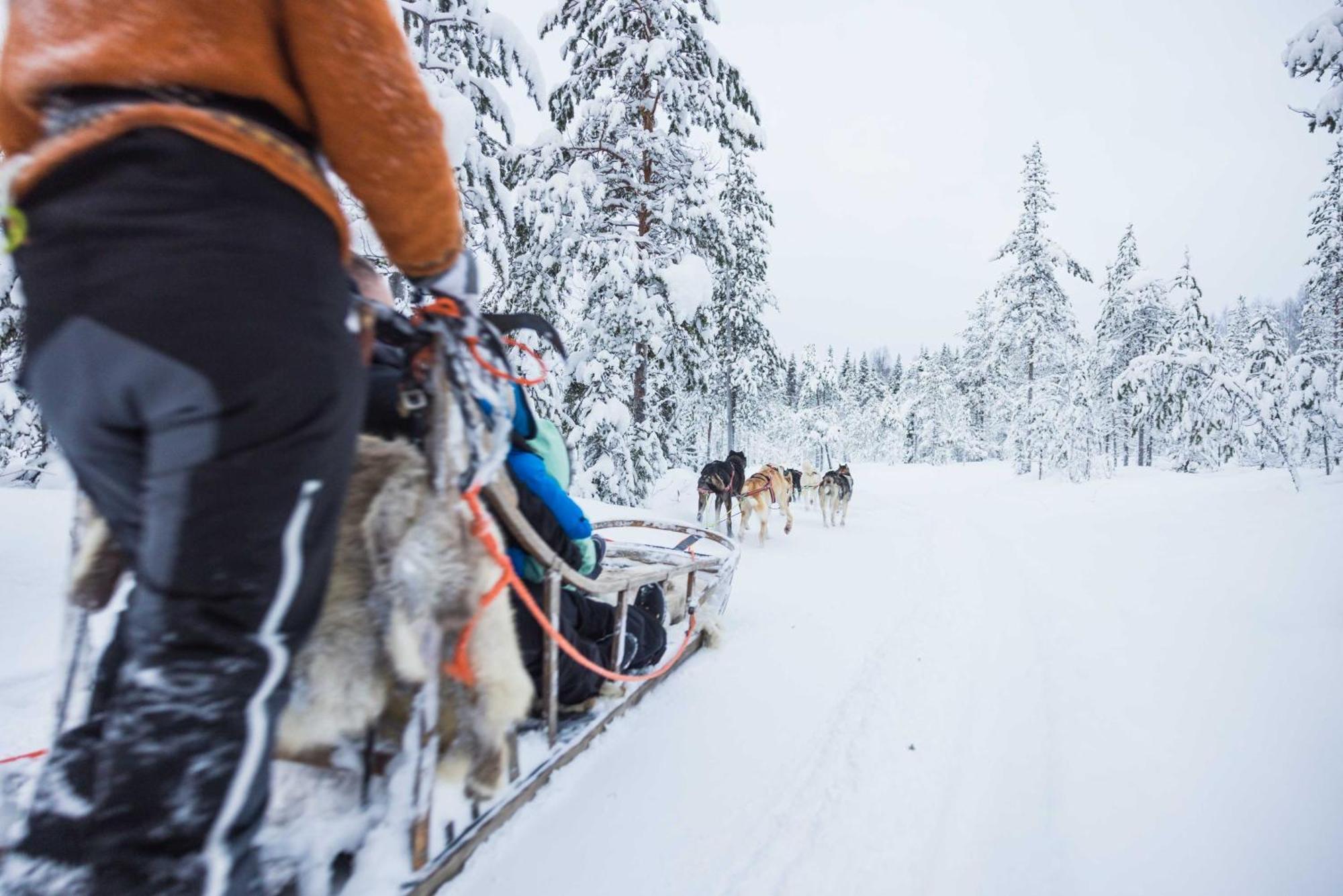 Reindeer Manor Levi Hotel Ngoại thất bức ảnh